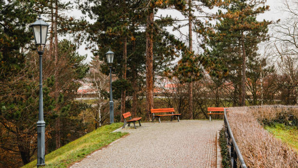istock Winter morning in the old Prague Park 939779960