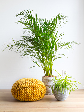 Vertical image of a bright living room with houseplants and pouf on the floor in front of a white wall