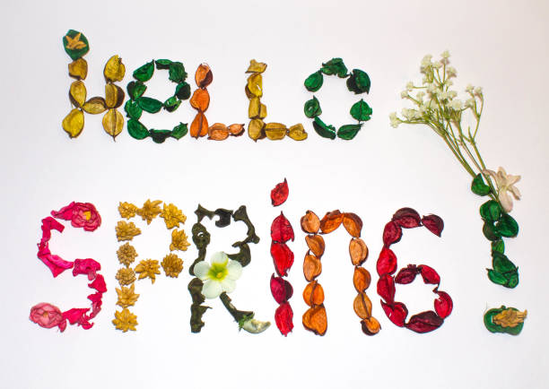 istock the word Hello spring flowers on white background 939785598