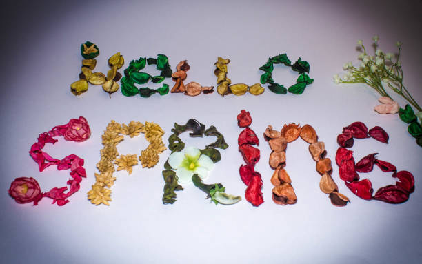 istock the word Hello spring flowers on white background 939787042