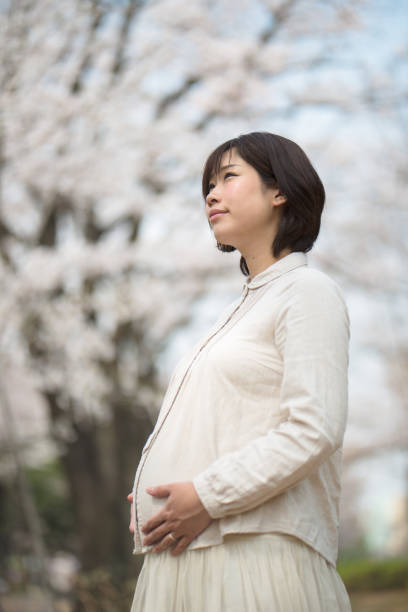 istock Pregnant woman and cherry blossom 939790726