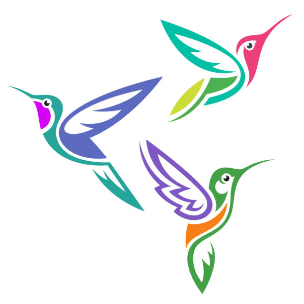 ilustrações de stock, clip art, desenhos animados e ícones de stylized birds - bird hummingbird flying annas hummingbird