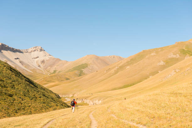 istock Two hikers walking in the mountain valley 939799422