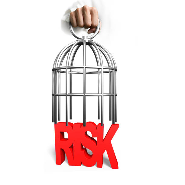 istock Hand opened birdcage to catch RISK word 939799852
