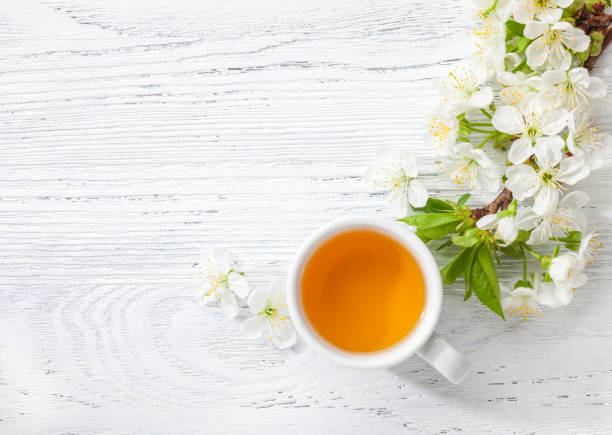Cup of green tea and  branch of blossom  cherry  on   white  wooden table. Cup of green tea and  branch of blossom  cherry  on   white  wooden table. afternoon tea photos stock pictures, royalty-free photos & images