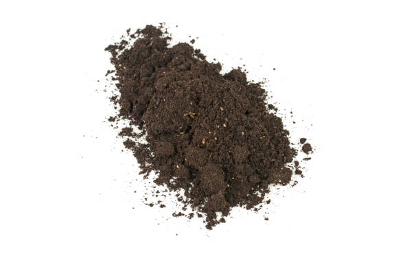 istock Pile of soil isolated on white background 939807530
