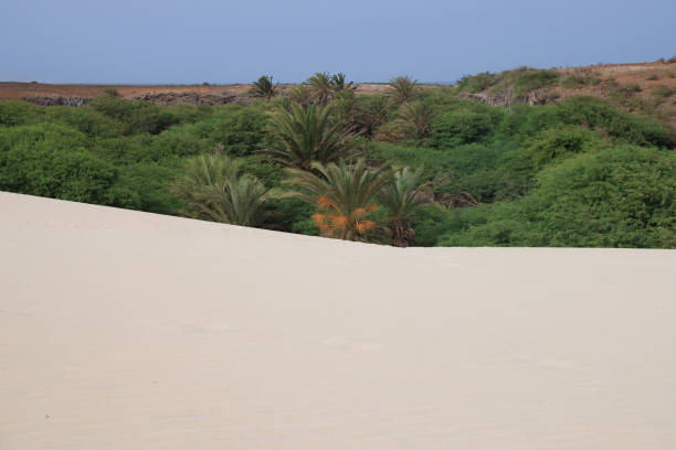 the edge of the viana desert, boa vista, cape verde - sub saharan africa imagens e fotografias de stock
