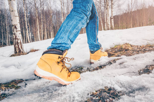 istock A boy playing pioneer walking in the woods 939814506
