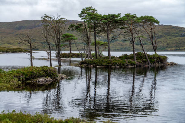 istock Loch Awe in Wester Ross, Scottish Highlands. Adventure, britain 939815012