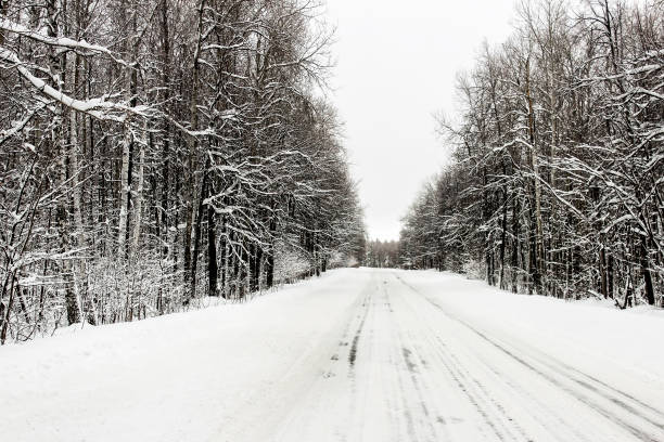 istock Winter road in the forest 939817726
