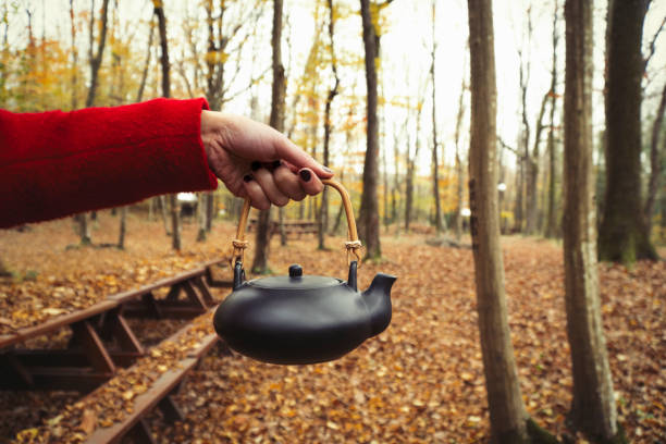 Teapot in nature autumn Chinese new year
