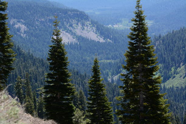 istock Northern California Parks 939818116