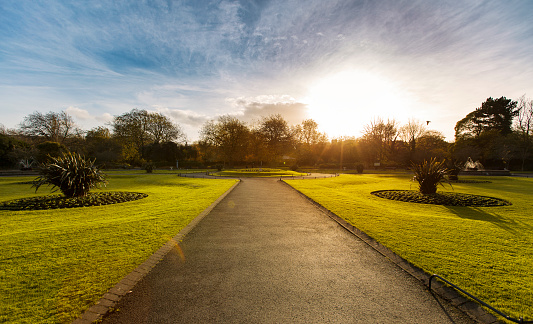 Nature Park, St Stephen's Green, Dublin / Ireland