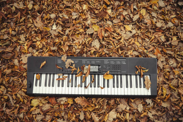 istock keyboard player piano in forest autumn 939826210