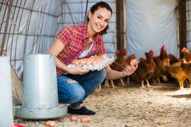 istock Cheerful female farmer carrying eggs 939826492