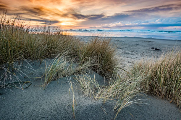 HDR Vibrant Sunset Oregon Coastal Cloudscape Pacific Coast HDR Brilliant Colors illuminate the clouds as the sunset slowly closes in.  The Oregon Coast Dunes are seen in the foreground. pacific coast stock pictures, royalty-free photos & images