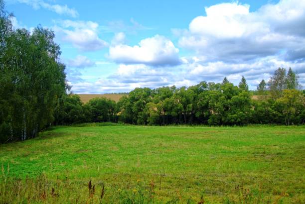 istock Sloping field in autumn in Russia 939826766