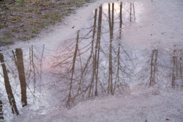 istock Partial Colorful Water Reflection of Winter Barren Tree Branches Sunset Clouds 939829632
