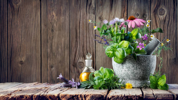 허브와 에센셜 오일 박격포 병에서 치유 - alternative medicine herbal medicine echinacea herb 뉴스 사진 이미지