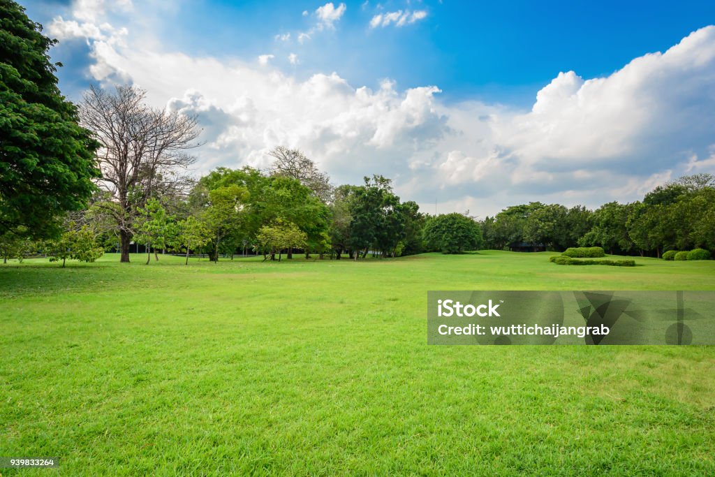 Natural parks and blue sky Natural parks and blue sky with cloud Yard - Grounds Stock Photo