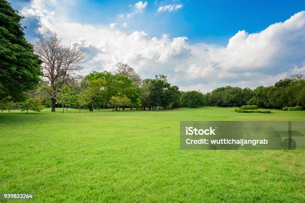 Natural Parks And Blue Sky Stock Photo - Download Image Now - Yard - Grounds, Grass, Public Park