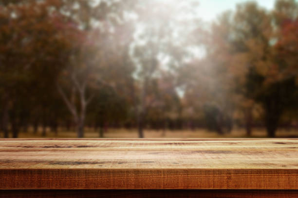 istock Wooden table and blurred forest background. 939833288