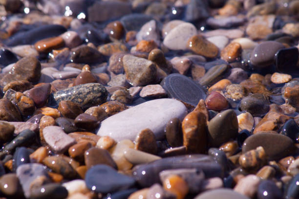 istock Sea shells, corals, pebble stones for background. 939833548