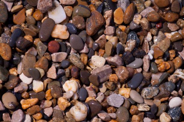 istock Sea shells, corals, pebble stones for background. 939833812