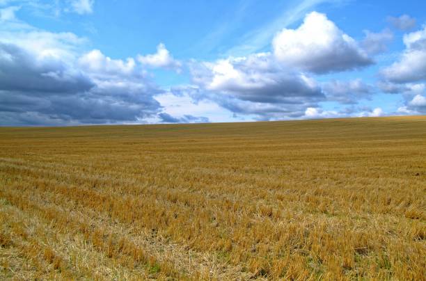 istock Sloping field in autumn in Russia 939833844