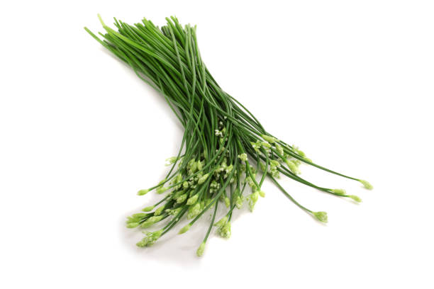 istock Chives flower or Chinese Chive isolated on white background 939834650
