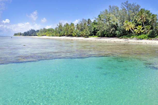 istock Lagoon and seashore Rarotonga Cook Islands 939841298