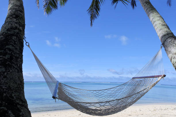 istock Empty hammock in Rarotonga Cook Islands 939841304