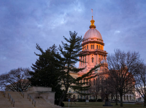 illinois state capitol building bei sonnenaufgang mit bäumen in springfield, illinois - state representatives stock-fotos und bilder