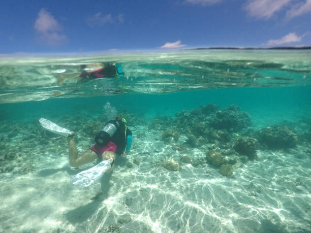 istock Person scuba dive in Rarotonga Cook Islands 939844016