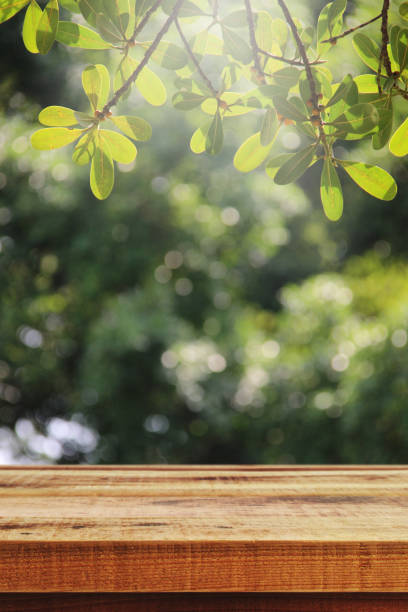 istock Wooden table and blur garden background. 939851230
