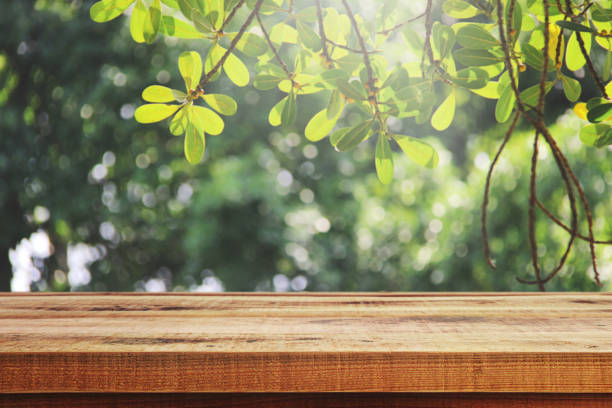 istock Wooden table and blur garden background. 939851904