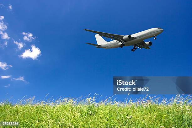 Airplane Flying In A Blue Sky And Green Grass Stock Photo - Download Image Now - Airplane, Grass, Sky