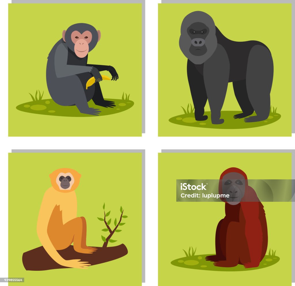 Singe caractère pains différents animaux zoo sauvage singe chimpanzé vector illustration - clipart vectoriel de Orang-outan libre de droits