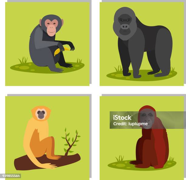 Singe Caractère Pains Différents Animaux Zoo Sauvage Singe Chimpanzé Vector Illustration Vecteurs libres de droits et plus d'images vectorielles de Orang-outan