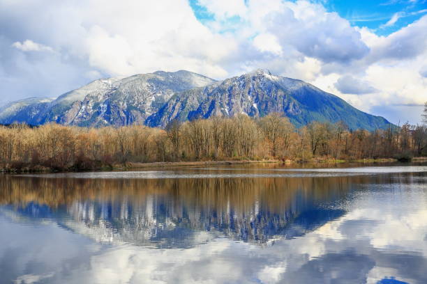 riflesso del monte si, wa-usa - spring forest scenics reflection foto e immagini stock