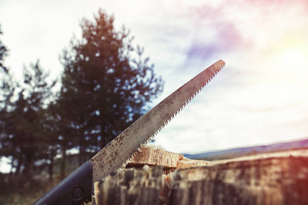 Axe and saw in wood