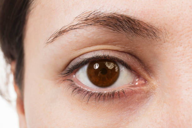 occhi marroni - primo e alto - brown eyes foto e immagini stock