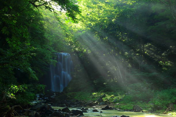 istock Kameda immobile waterfall in the summer 939863260