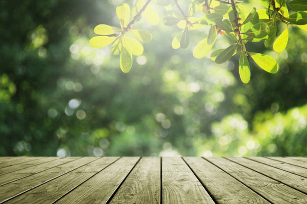 istock Wooden empty and blur green forest background. 939868390