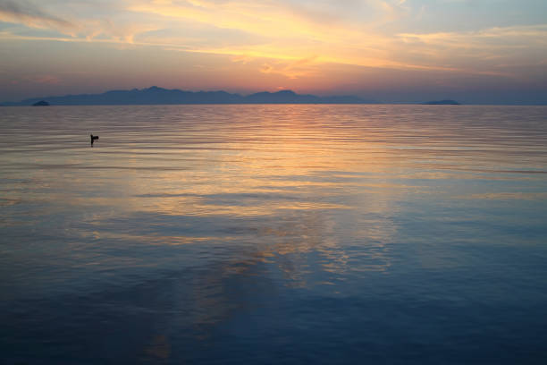 istock A small seaside town Turgutreis 939876042