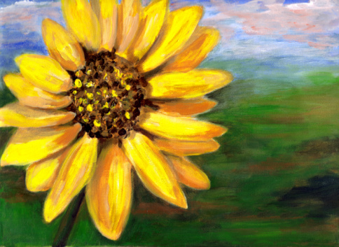 Sunflower head artist rendition with copyspace on side.  Original oil on canvas by the photographer.