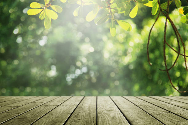 istock Wooden empty and blur green forest background. 939879116