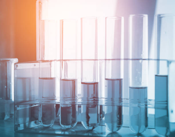 istock Vacutainer or test tube in lab on table 939884022