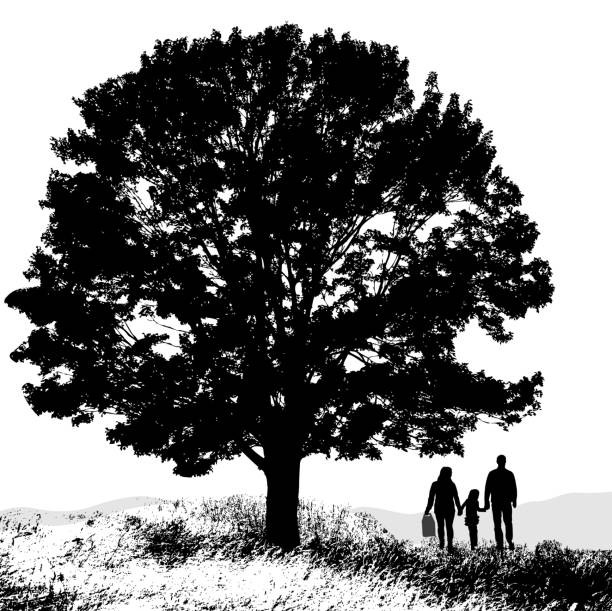 ilustraciones, imágenes clip art, dibujos animados e iconos de stock de pequeño parque de la familia - tree silhouette meadow horizon over land