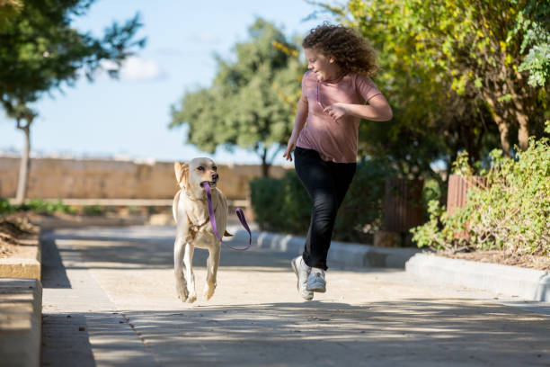 istock Dog and his owner walking in a park 939886926